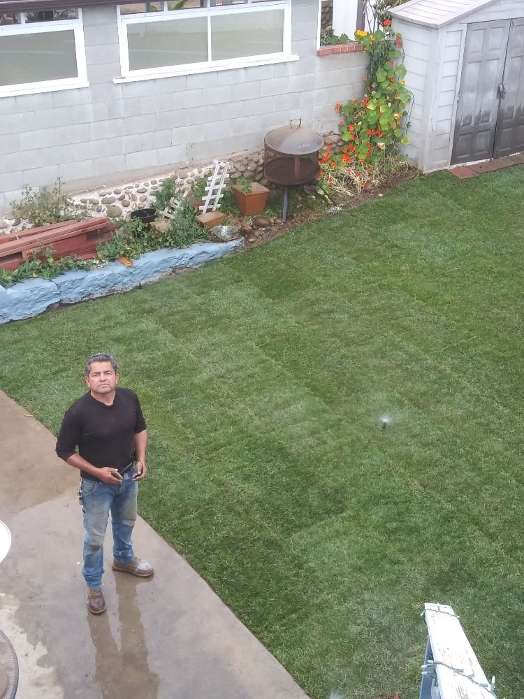 A.G Landscape owner Alex Guzman standing by a freshly installed sod lawn with sprinkler running
