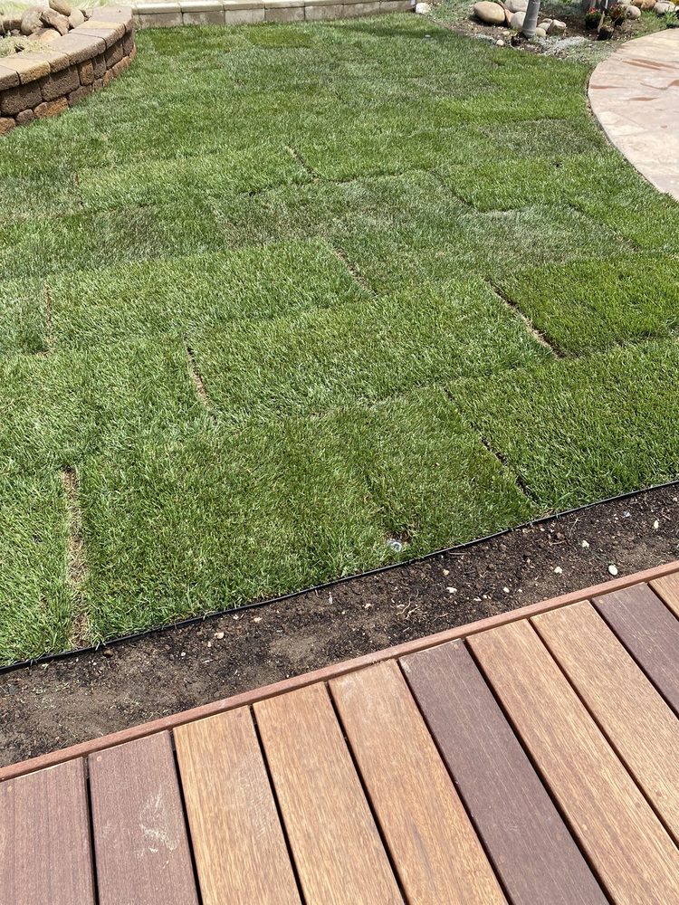 Fresh sod lawn beside a wooden deck
