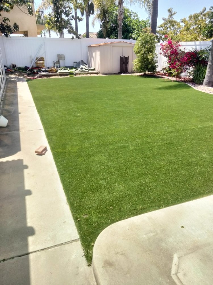 Backyard turf installation with bougainvillea by A.G Landscape